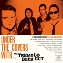 Tremolo Beer Gut - Delirium (WMW-Barfod Edit)