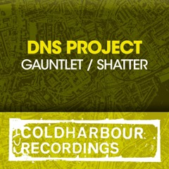DNS Project - Gauntlet
