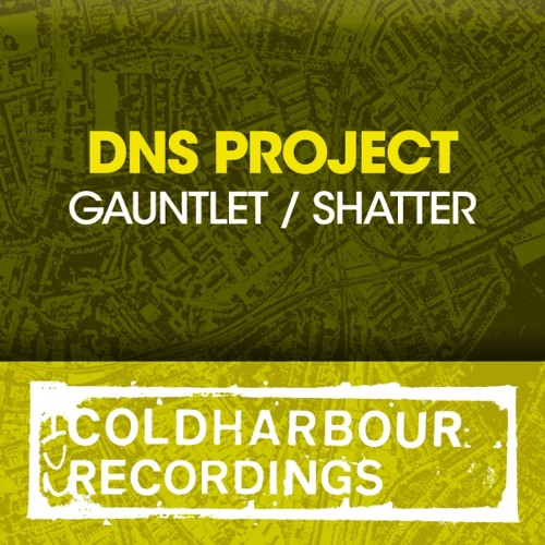 DNS Project - Gauntlet
