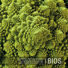 Homo Siemens feat. Enrico Gabrielli