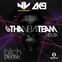 Nishin Verdiano and AK9 - Bitch Please (Tha New Team Remix)