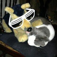 Eyes Over Oakland County (Patrick Elkins & Chelsea Jordan feat. Fred Thomas)