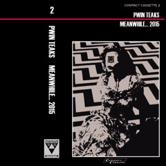 (6 min album sampler) PWIN 山 TEAKS - Meanwhile 2015 - Journey inside the brain of the black lodge