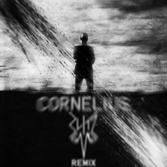 The Bloody Beetroots - Cornelius (Blitz Gang Remix)