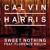 Artwork for Calvin Harris & Florence - Sweet Nothing