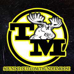 Thunder Moose - Memory's Skyscraper (Original Mix)