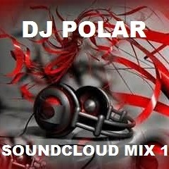 DJ Polar - In The Mix 1