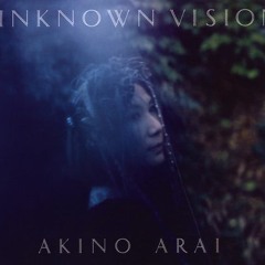 Unknown Vision