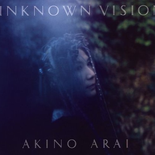 Unknown Vision