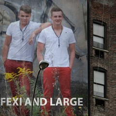 FEXI AND LARGE -  "WHATZ…  !!??"  - OFFICIAL MIXTAPE rec. February 2013