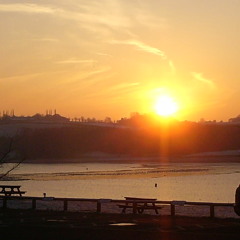 (DEMO) Words in the Wind