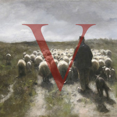 Vincent Steele - Sheep
