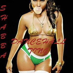 Shabba- Dancehall Ting