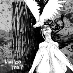 HERBA MATE - Nicotine