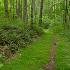 HOTEL KALIBUNAN by Latigo Rapper (Ft. Python) - BISAYA RAP SONG