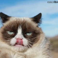 Feest in de poezentent (lekker kort dan wil je meer)