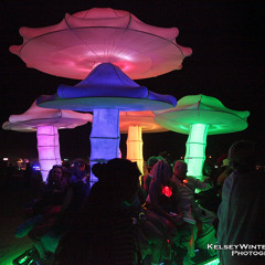 Reclaim Your Mind - a Burning Man Audio Journey in 2010 (Mixed by Davey Gold)