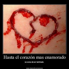 Vienes y te vas en vivo