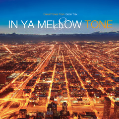「IN YA MELLOW TONE 8」 Special Digest