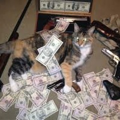 Thug Cat- Episcity