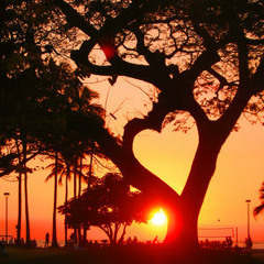 အခ်စ္ ျဖိဳးၾကီး+ျဖဴျဖဴေက်ာ္သိန္း