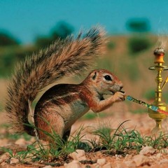 pré-mix de carl coke 1er essaie mix zone 33 vs labo 14