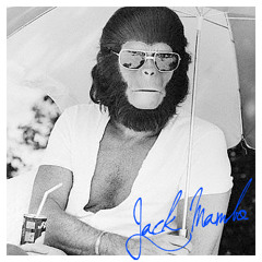 Monkey Safari-Revolver Sundays Original Mix