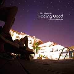 Nina Simone - Feeling Good (Joey Lacroix Remix)