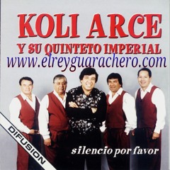 04- Koli Arce - Pero qué tonto fui