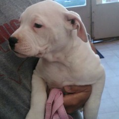 A Little Bit Of 2 Styles at Tha game