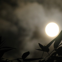 05 - Mirage (feat. Mina Fedora)