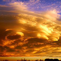 Vacant Mind- Do you Wish to Rise? Begin by Descending..