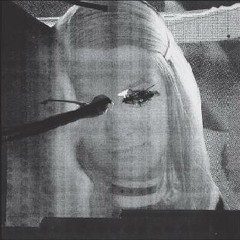 ALTAR OF FLIES Female