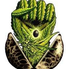 Weed´A - CoLa De ZoRrO