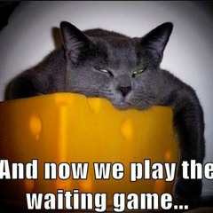 There is a job for you while you wait!