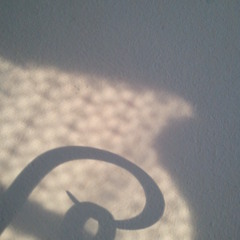 reverie no. 2 : entranced