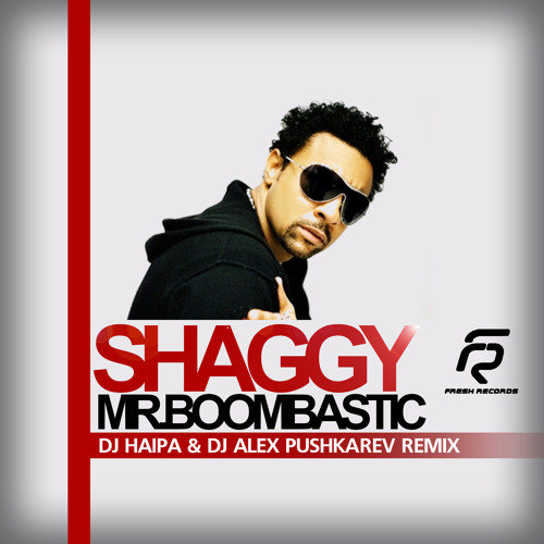 Stream Shaggy – Mr. Boombastic (DJ Haipa & DJ Alex Pushkarev Remix) by  HAIPA | Listen online for free on SoundCloud