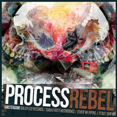 Process Rebel 2013 Q1 Mix