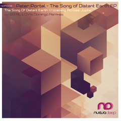 [NDP008] Peter Portal - The Song of Distant Earth (Chris Domingo Remix)