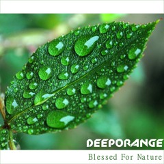 Deeporange - 06. Blessed for nature