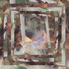 Fester (Werkha remix)