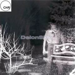 DelonSide - afterlife