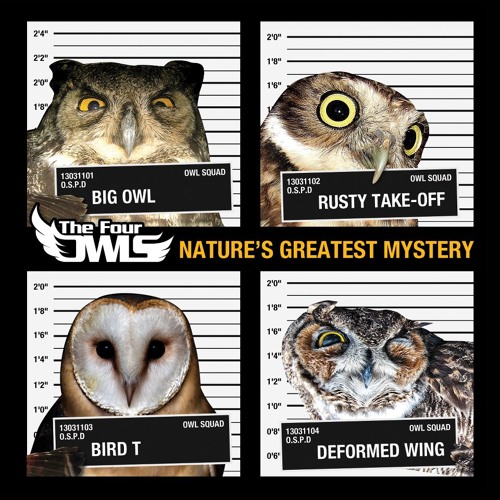 The Four Owls-Not Like Before (Figcake,Redmond & Concussion Remix)