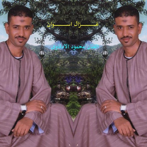 سفير الكف  الاسوانى وغزال اسوان