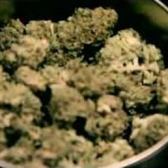 stoned