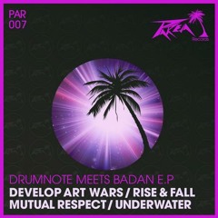 dmb - Mutual Respect (Original Mix) drumnote meets Badan EP : Pareja Records