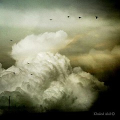 تحت أنقاض...