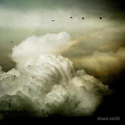 تحت أنقاض...