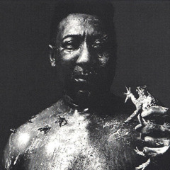 Black and Tan Fantasy.