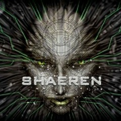 Shaeren-The Bass Will Take Your Control (Original Mix)